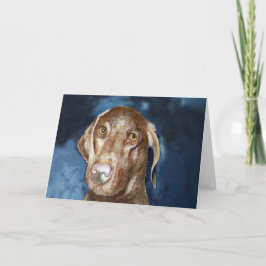 Cartão de Vizsla com selo postal de harmonização