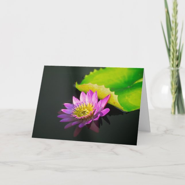 Cartão de Waterlily (Frente)