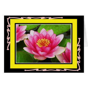 Cartão de Waterlily