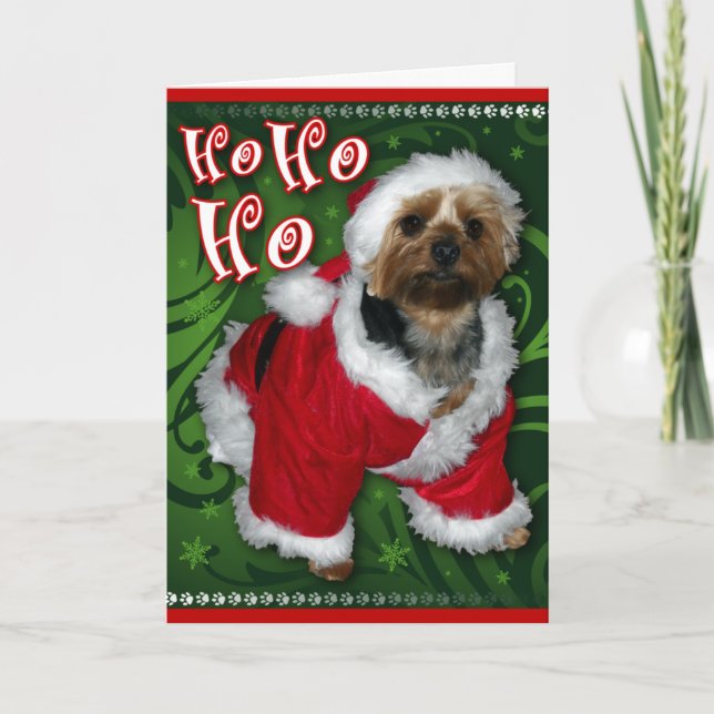Cartão de Yorkie do papai noel (Frente)