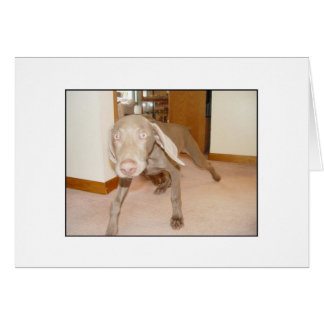 Cartão Decaf obtido?