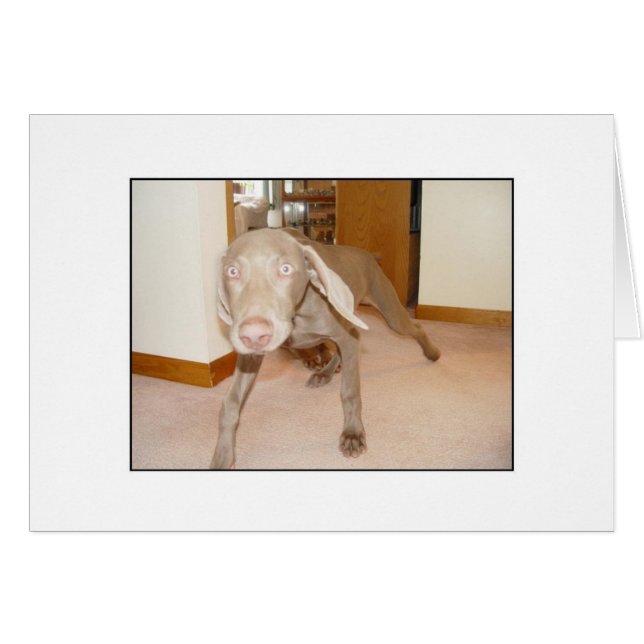 Cartão Decaf obtido? (Frente Horizontal)