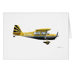 Cartão Decathlon super de Bellanca