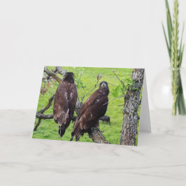 Cartão Decorah North Eagles: A Lua de Morango