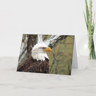 Cartão Decorah North Eagles: A Lua do Beaver