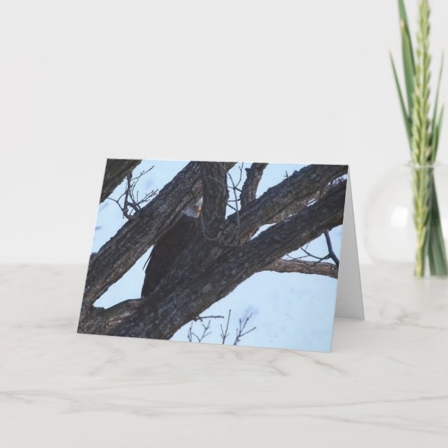 Cartão Decorah North Eagles: A Lua do Lobo (Frente)