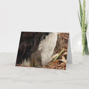 Cartão Decorah North Eagles: A Lua do Verme