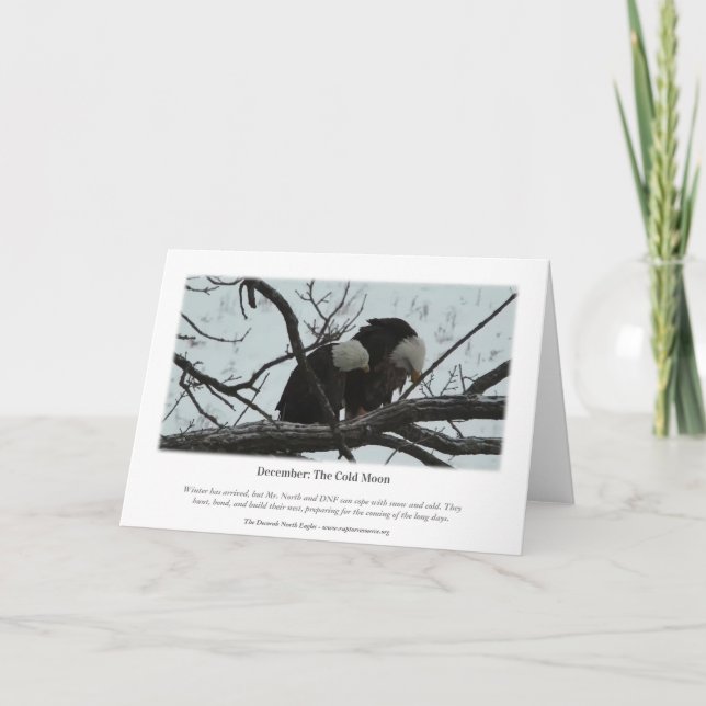 Cartão Decorah North Eagles: A Lua Fria (Verso)