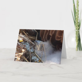 Cartão Decorah North Eagles: A Lua Rosa