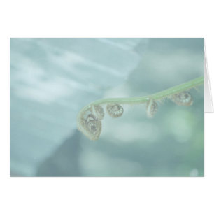 Cartão dee dee. do violino