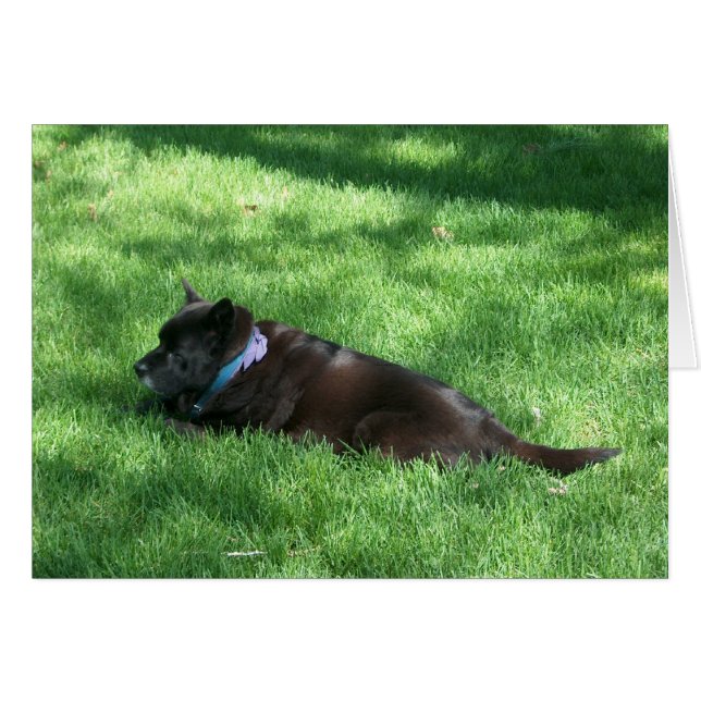 Cartão deekie (Frente horizontal)