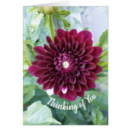 Cartão Deep Purple Dahlia Flower Pensando em você