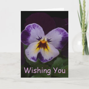 Cartão Deep Purple White Pansies