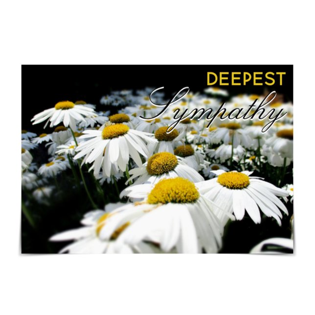 Cartão "Deepest Sympathy" Field of Daisies Card (Criador carregado)