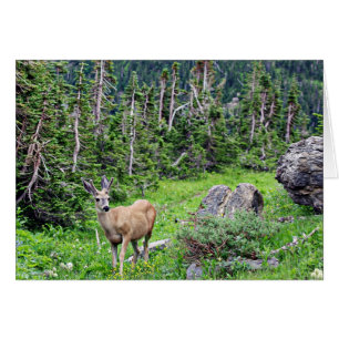 Cartão Deer