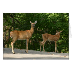 Cartão Deer