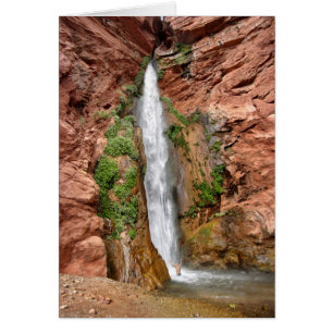 Cartão Deer Creek Falls - Grand Canyon - Waterfall