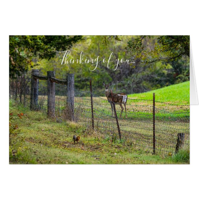 Cartão Deer E Um Esquilo Pensando Em Você (Frente horizontal)