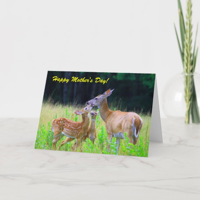 Cartão Deer Fawns Nursing, Feliz Dia de as mães! (Frente)