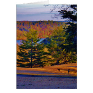 Cartão Deer & Mt Lake