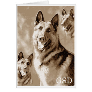 Cartão Definido pelo GSD