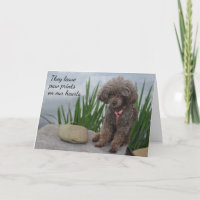Deixam Pawprint No Nosso Coração Simpatia Pet