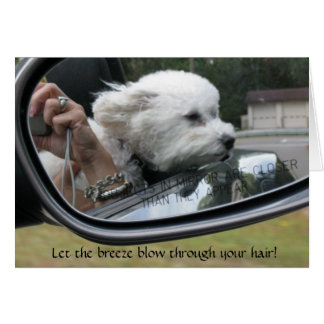 Cartão "Deixe a brisa soprar através do seu cabelo"