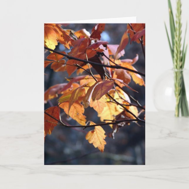 Cartão Deixe A Luz Brilhar (Frente)