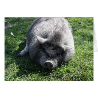 Cartão deixe-me em paz