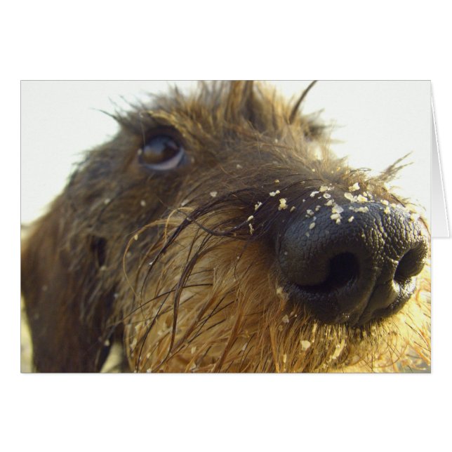 Cartão Deixe-me pensar sobre isso... (Frente Horizontal)