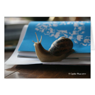 Cartão Deixe o brilho de Sun!