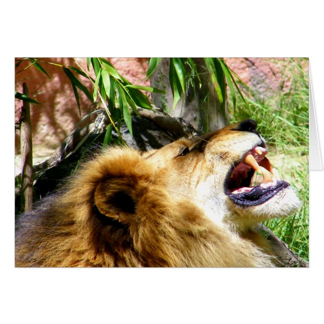 Cartão Deixe-o ir. (Frente Horizontal)