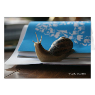 Cartão Deixe o Sol brilhar!