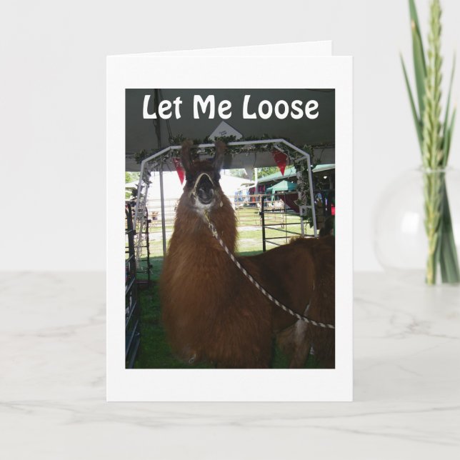 CARTÃO DEIXEM-ME DIZER FELIZ ANIVERSÁRIO (Frente)