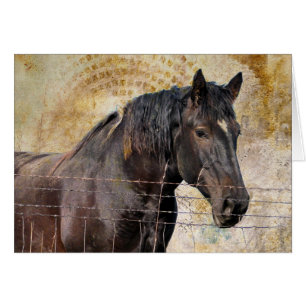 Cartão Delicado, cavalo de esboço de A