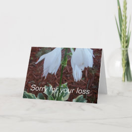 Cartão Delicar as flores brancas de Hosta em uma simpatia