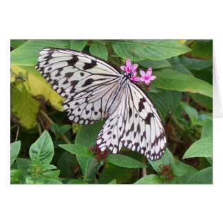 Cartão Delicar Delícia 1