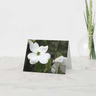 Cartão Delicate Dogwood Notecard