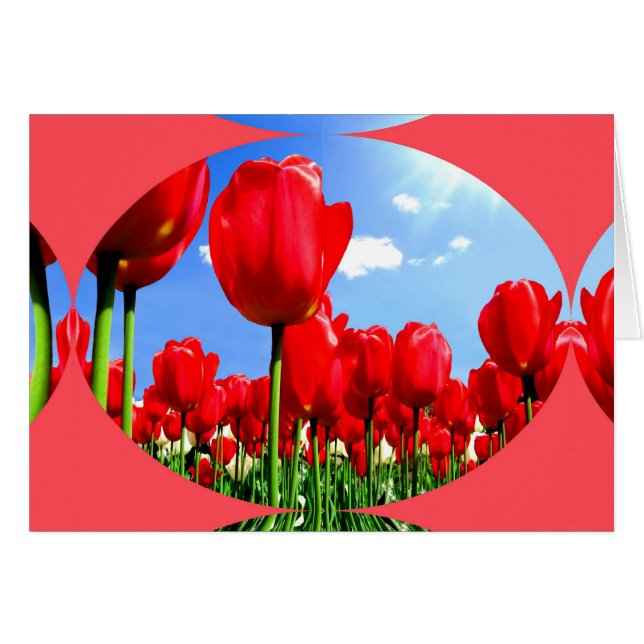 Cartão Delícia de Tulipas Vermelhas (Frente Horizontal)