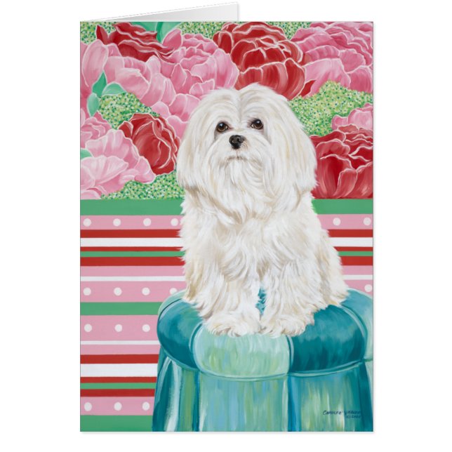 Cartão Della Rosa maltesa (Frente)