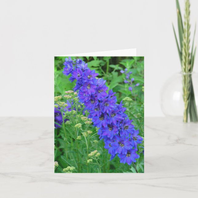 CARTÃO DELPHINIUM AZUL BRILHANTE NOTECARD (Frente)