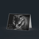 Cartão Demasiado velho para alimentar o gato?<br><div class="desc">O texto é customizável,  assim que se você tem um subtítulo melhor,  apenas datilografa-o dentro.</div>