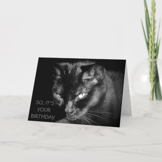 Cartão Demasiado velho para alimentar o gato? (Frente)