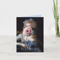 Demure com Pequim Feliz Aniversário