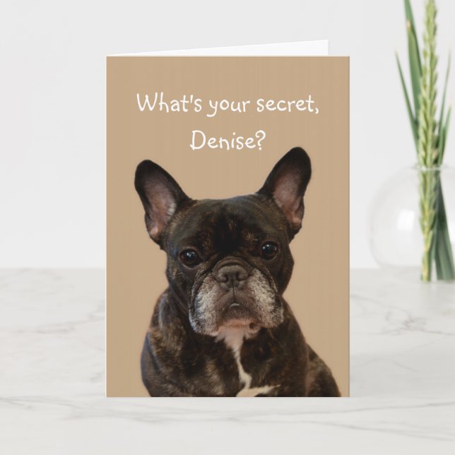 Cartão Denise French Bulldog Happy Birthday (Frente)