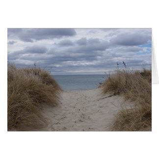 Cartão Deniseport Beach