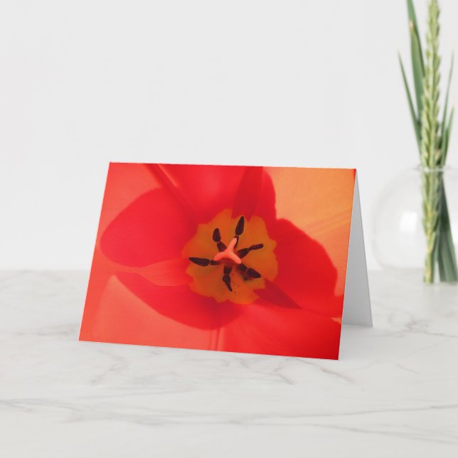 Cartão Dentro a Tulip (Frente)