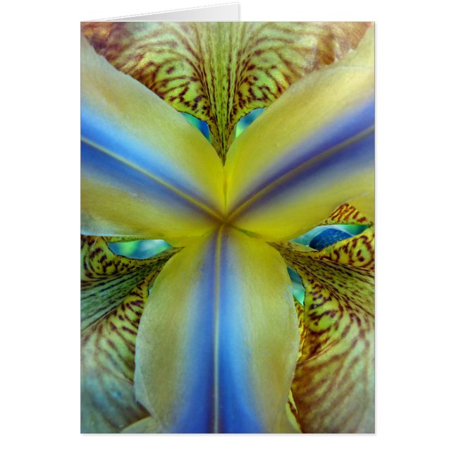 Cartão Dentro de Iris (Frente)