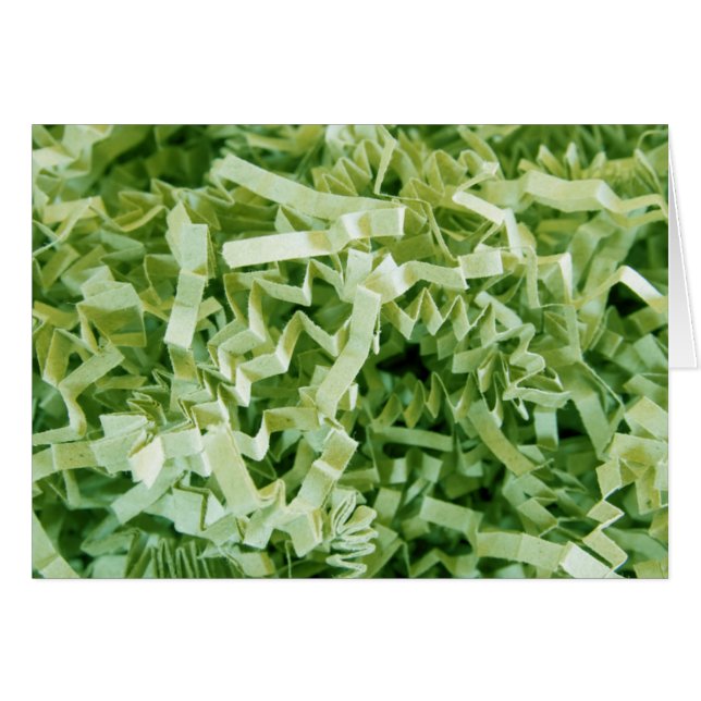 Cartão Dentro de Vazio de de Fotografias Digitalizadas co (Frente Horizontal)