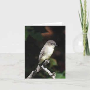 Cartão dentro vazio de Phoebe